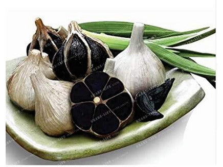 black garlic "organic american" whole bulbs (large 3/4 pound bag)...aged and fermented 120 days